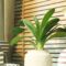Żaluzje drewniane jako element biophilic design – trend, który łączy naturę z nowoczesnością